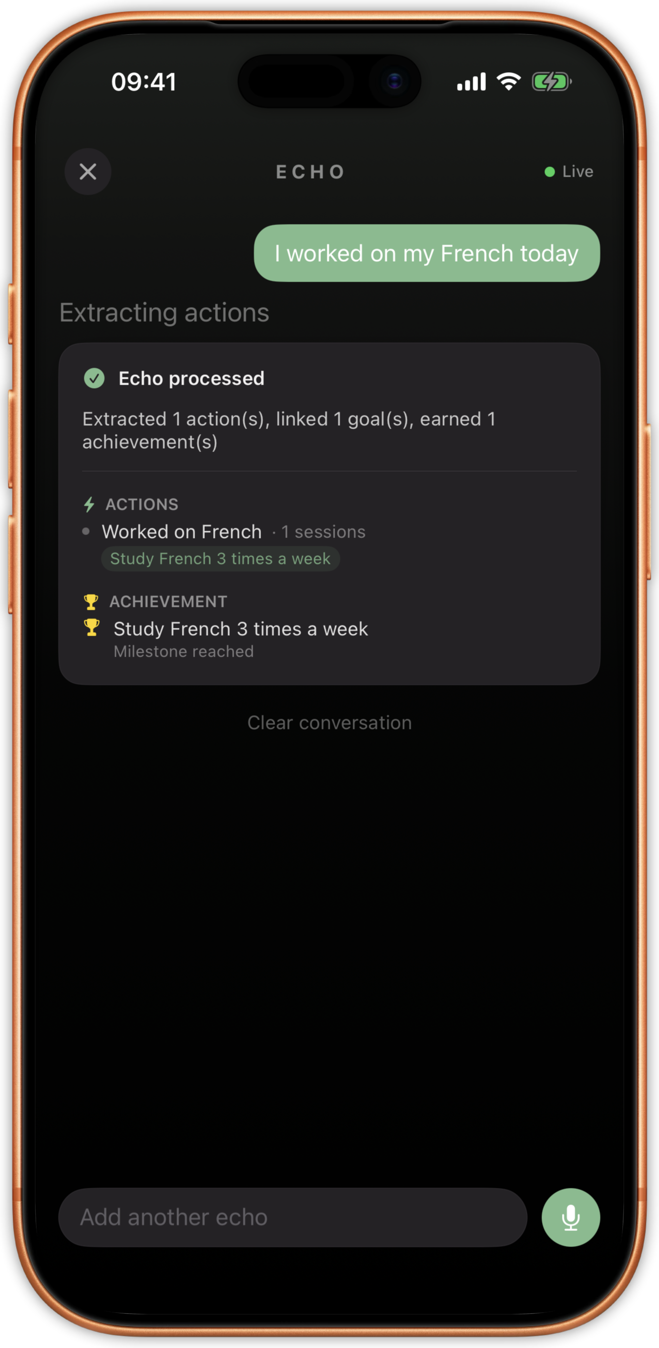 Echo AI processing screen